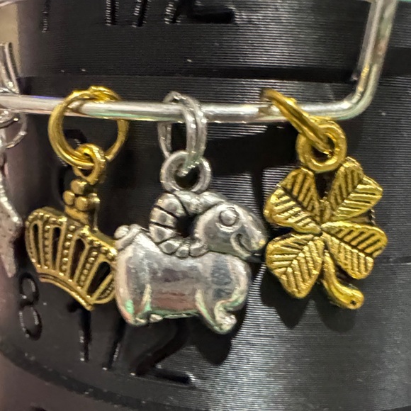 Silver Charm Bracelet with Mixed Charms - Picture 3 of 4